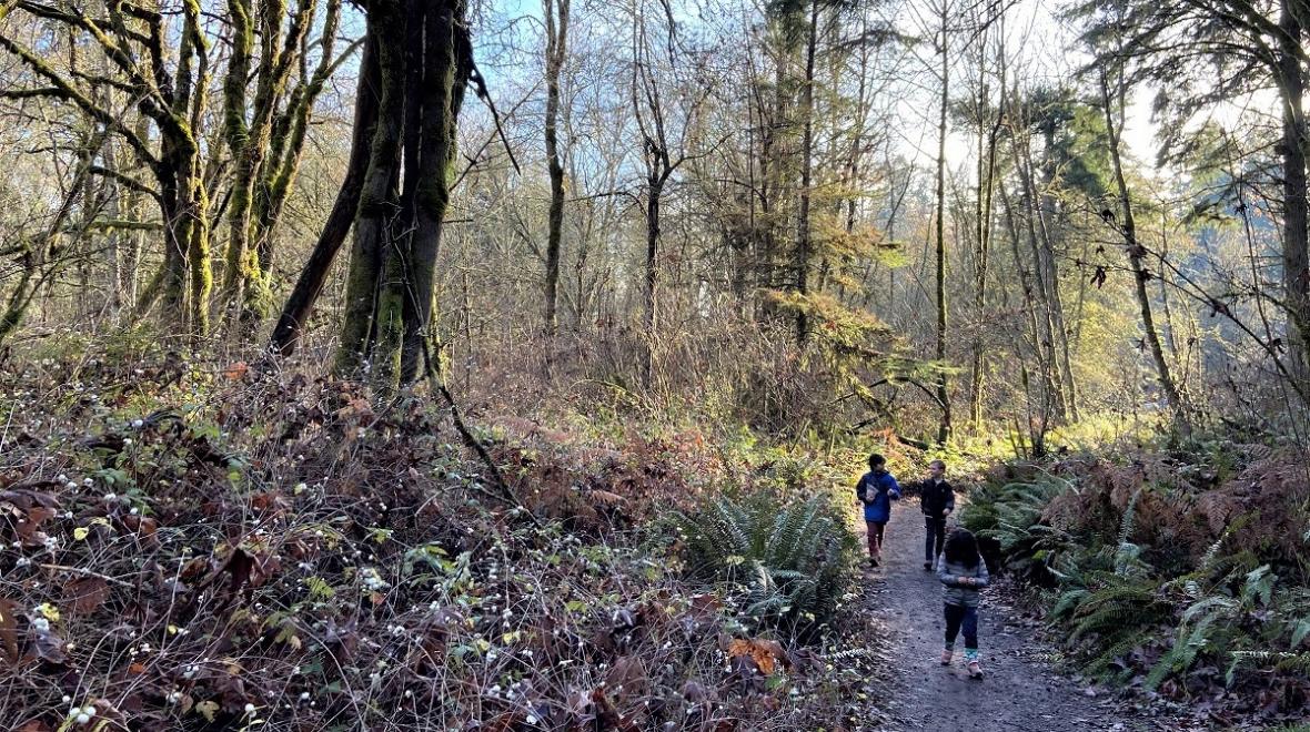 Best Kid-Friendly Hikes and Strolls on Bainbridge Island | ParentMap